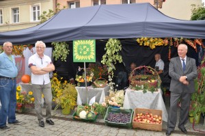 Dożynki 2016